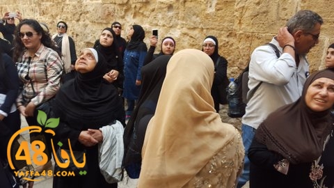 re7la shamal tamer (16).jpg